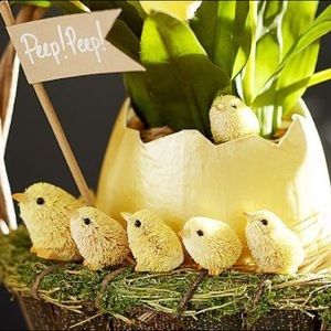 Pottery barn 8 piece bottle brush chicks Easter